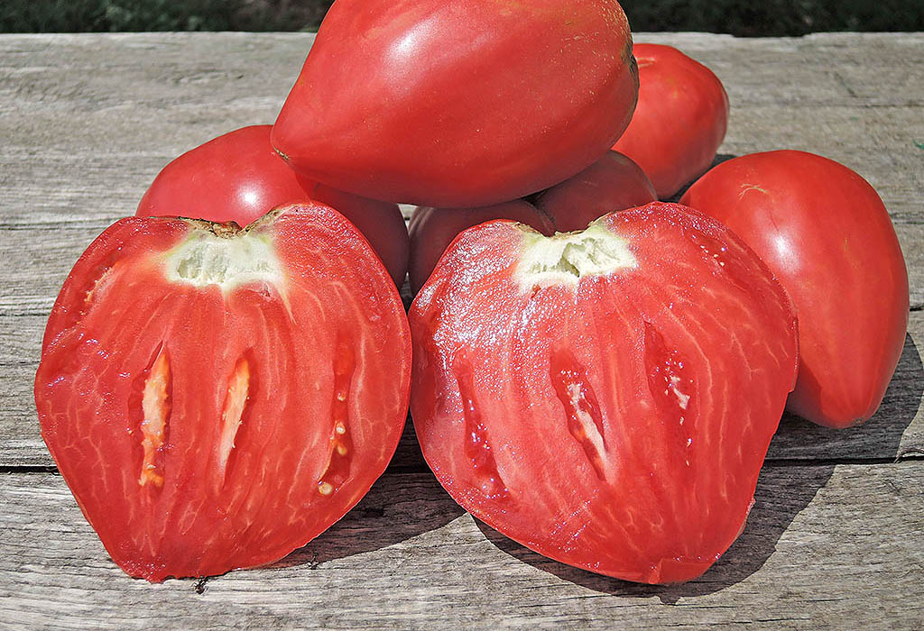 Il Pomodoro di Belmonte De.C.O.