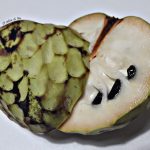 Annona Cherimola