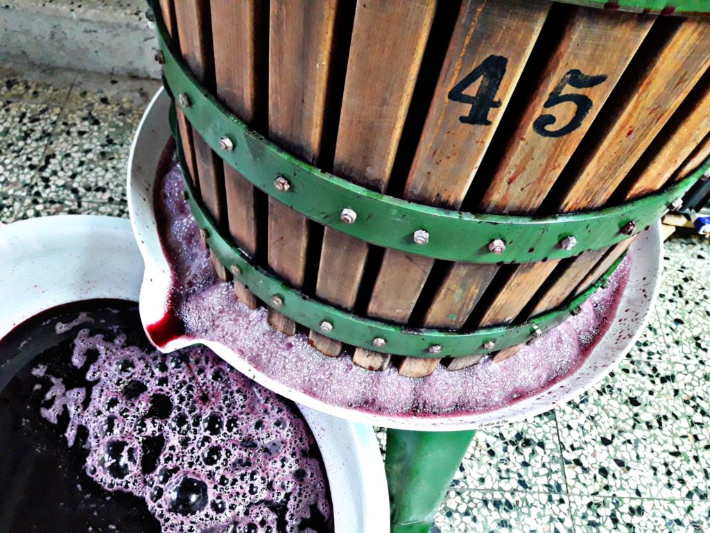 Vino novello torchiatura