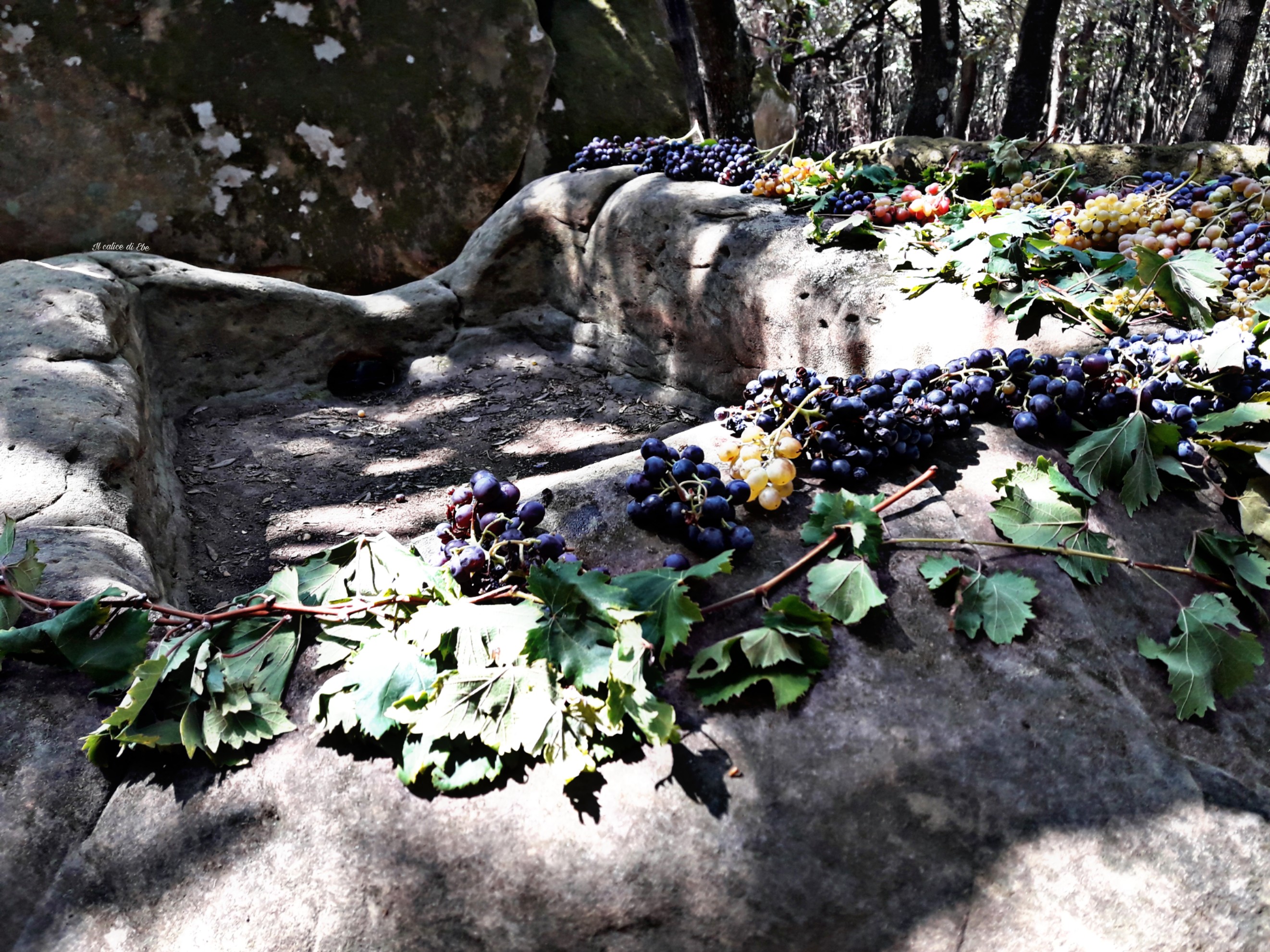 Palmento rupestre bosco di Rudina