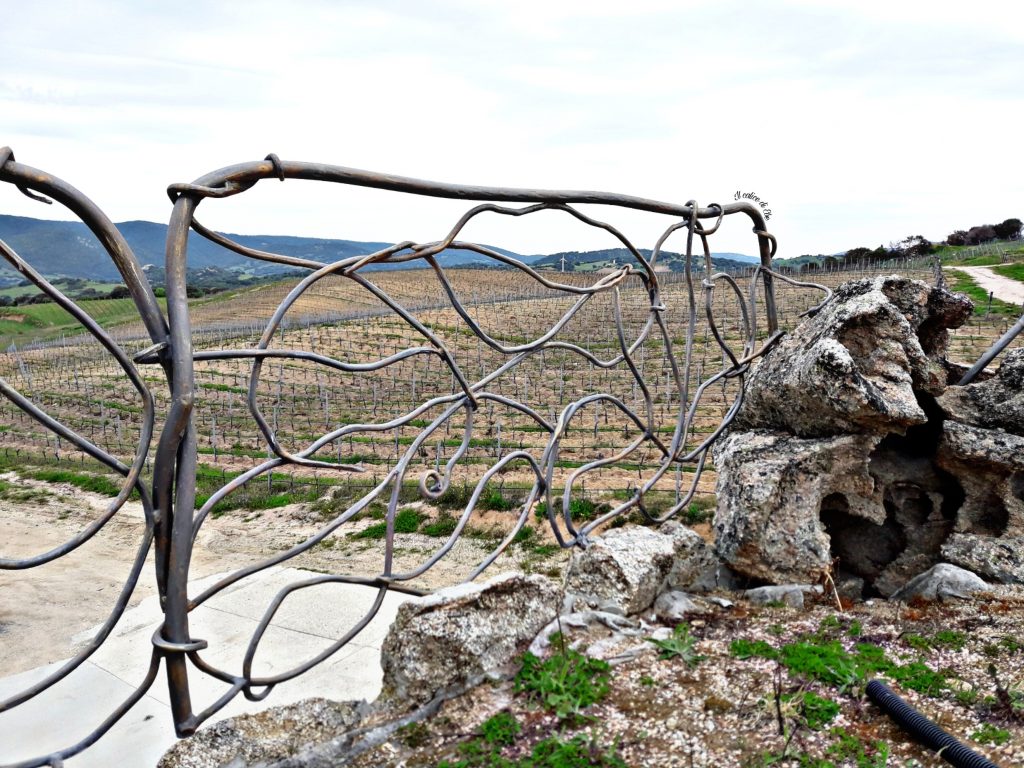 Vista vigneti Cantina Tondini Calangianus