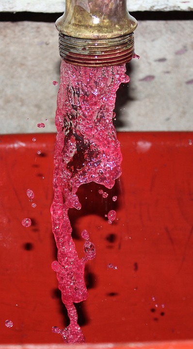 Beaujolais Noveau vino Novello