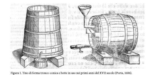 Tino tronco conico