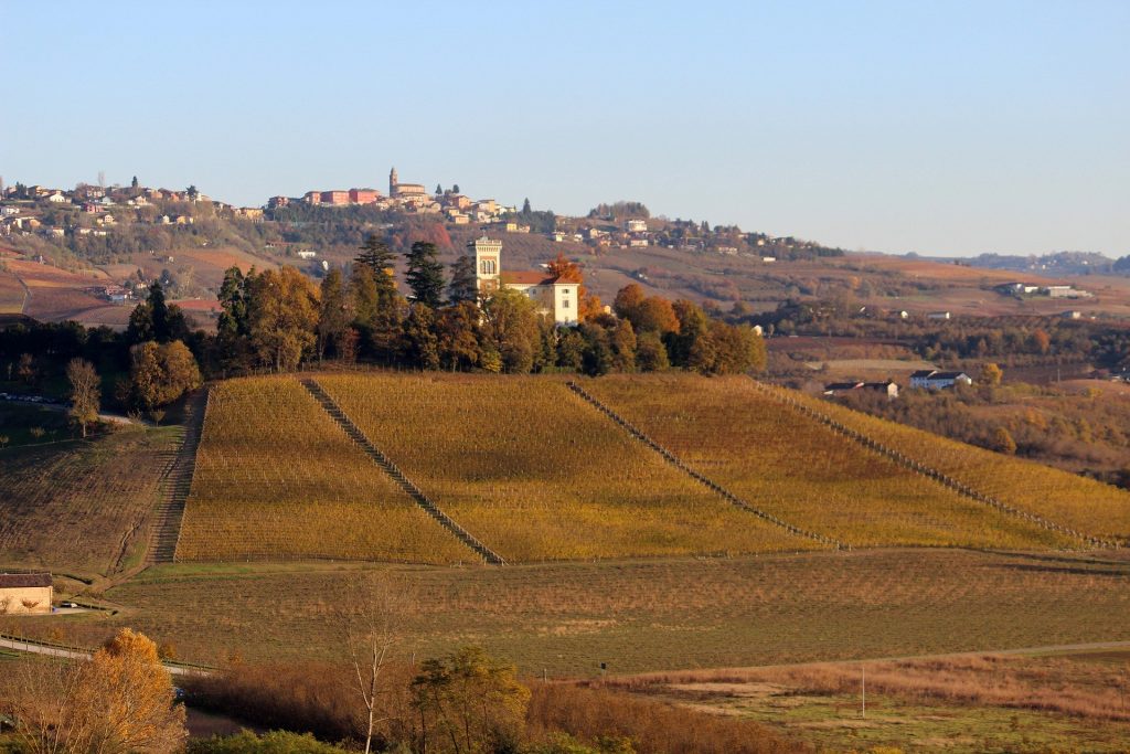 Le Langhe vigneti