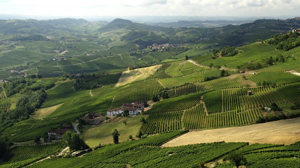 Vigneti delle Langhe La Morra