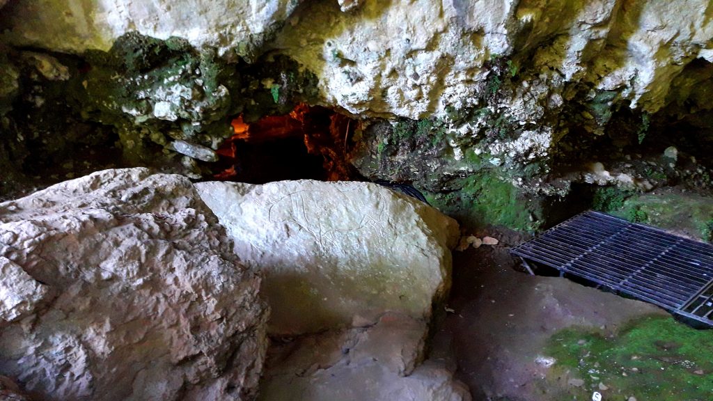 Grotta del Romito a Papasidero (Cs) Bos Primigenius