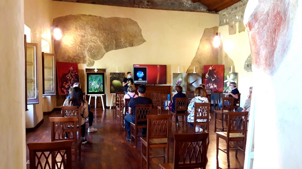 Sala conferenza del Museo del Cedro