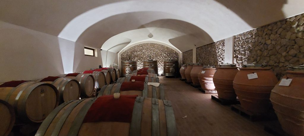 Michele Biancardi cantine e vigne daune