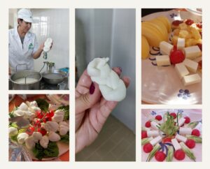10 cose da fare in Puglia visitare un caseificio artigianale e fare le treccine di mozzarella
