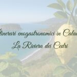 Itinerari enogastronomici in Calabria: la Riviera dei Cedri