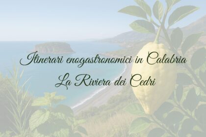 Itinerari enogastronomici in Calabria: la Riviera dei Cedri