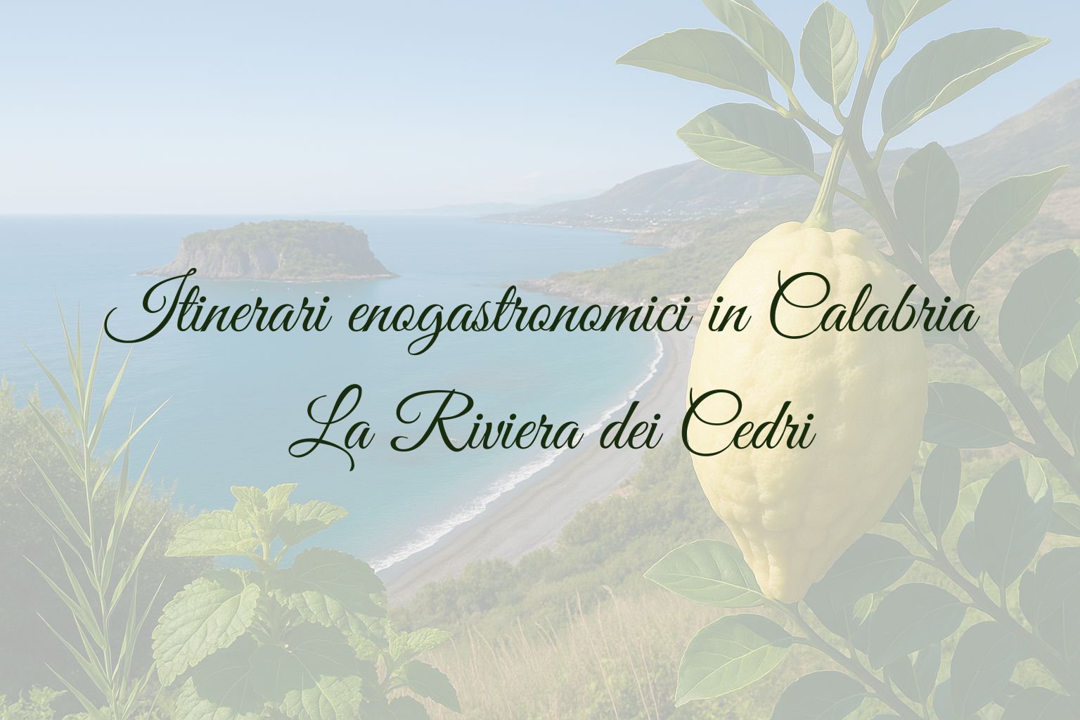 Itinerari enogastronomici in Calabria: la Riviera dei Cedri