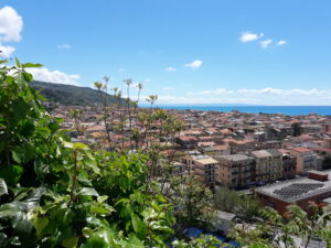 Itinerari enogastronomici in Calabria La Riviera degli Oleandri